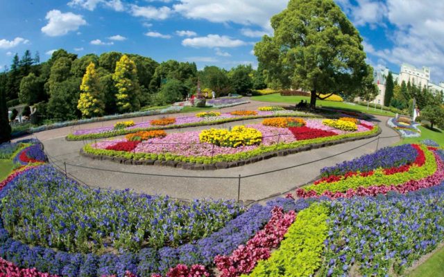 花と緑の公園『デンパーク』へおでかけ！5/26（日）まで「フラワーフェスティバル」開催！