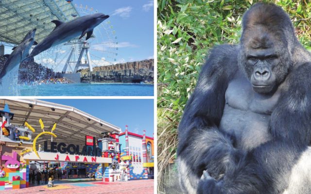 レゴ・動物園・水族館…名古屋の人気テーマパークの営業再開が決定、気になる日にちは？