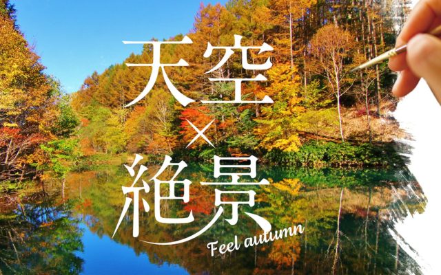 フォトスポット  NAGOYA.（ナゴヤドット）