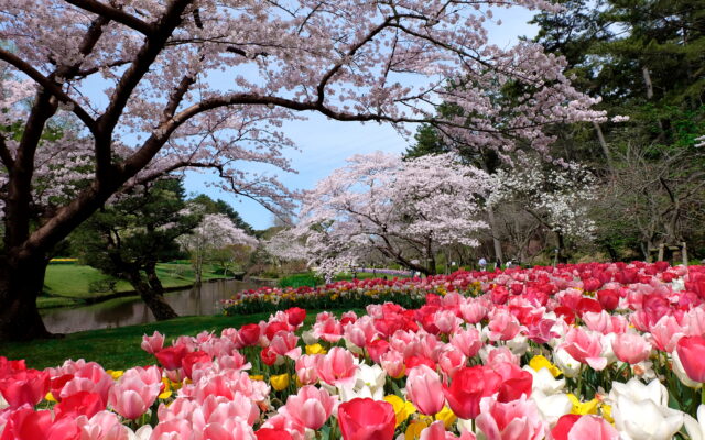 【浜名湖花フェスタ2021開催】季節の花がお出迎え!　レイクタウンを彩る春の祭典へ出かけよう