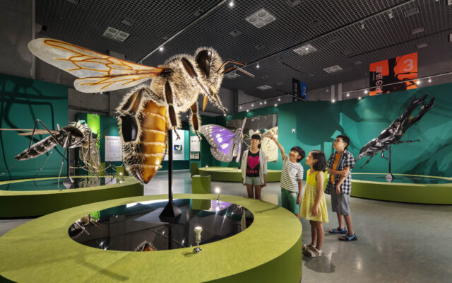 子供も大人も必見！名古屋市科学館で『特別展 「昆虫」』開催！！【7/17～9/20】