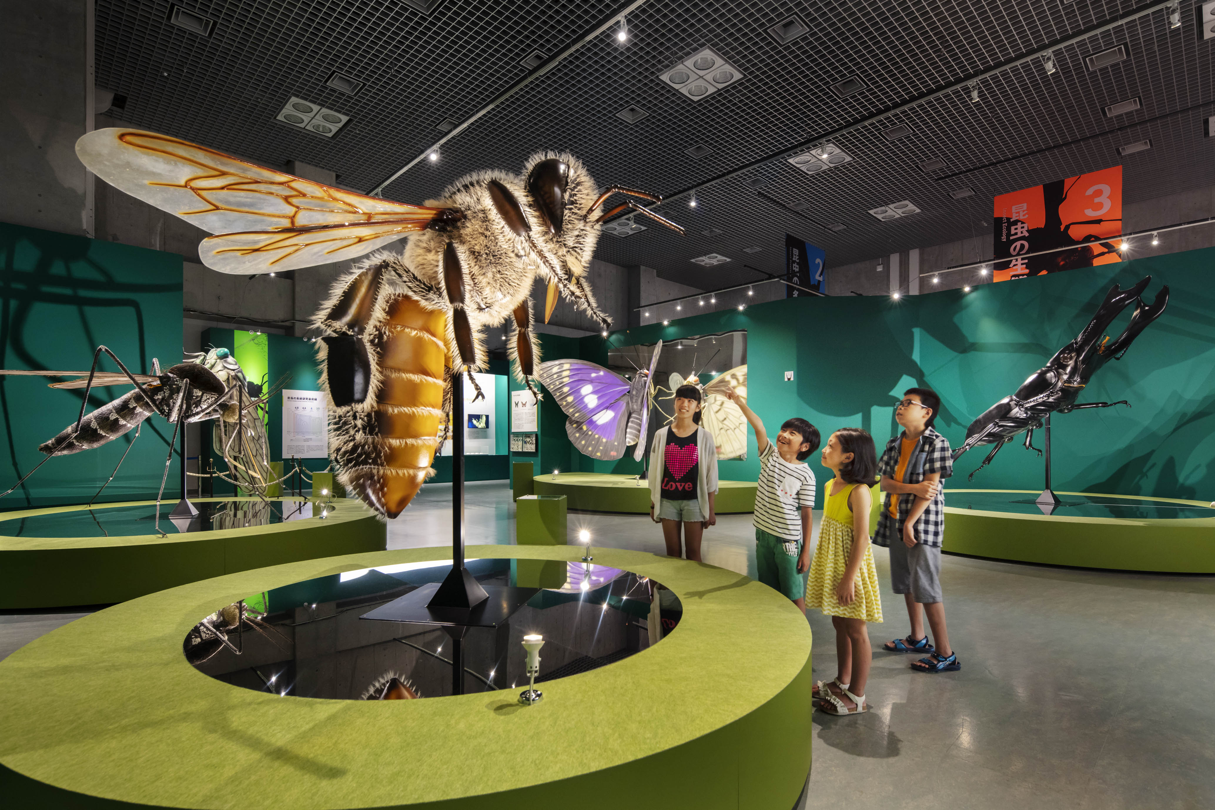 子供も大人も必見 名古屋市科学館で 特別展 昆虫 開催 7 17 9 Nagoya ナゴヤドット