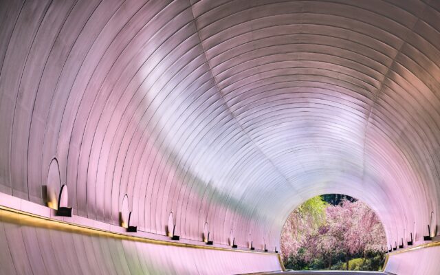 【春旅】桃源郷がモチーフ！圧倒的な美の空間で大自然と建築、アートの世界を堪能