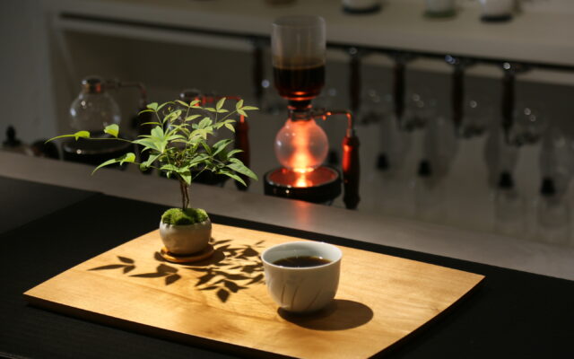 【サイフォンチャンピオン】盆栽を愛でながら香り豊かなコーヒーを味わう新嗜好カフェ