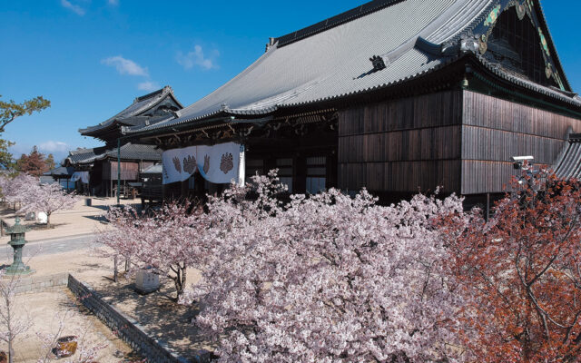 三重県初の国宝建造物『真宗高田派本山 専修寺』毎月16日には朝粥体験やガイドツアーも