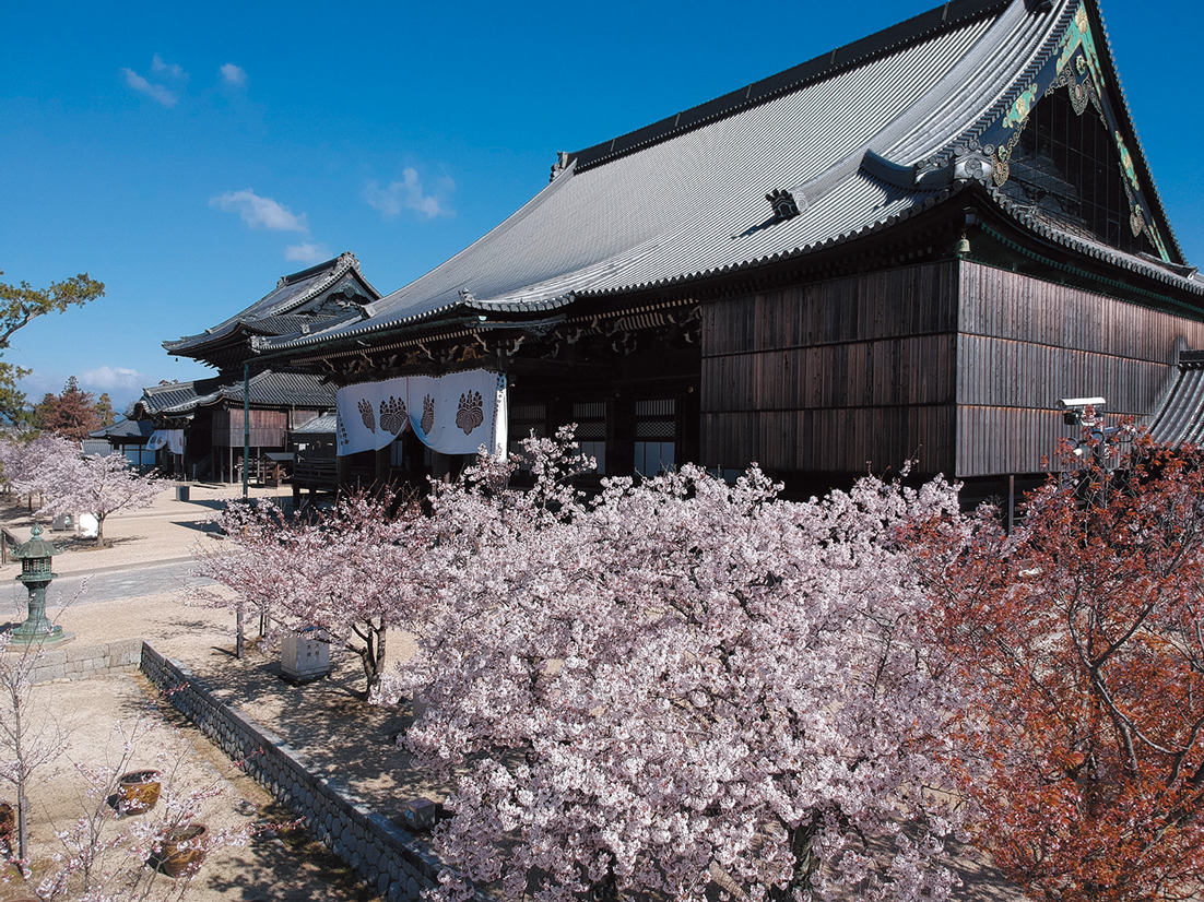 三重県初の国宝建造物『真宗高田派本山 専修寺』毎月16日には朝粥体験やガイドツアーも | NAGOYA.（ナゴヤドット）