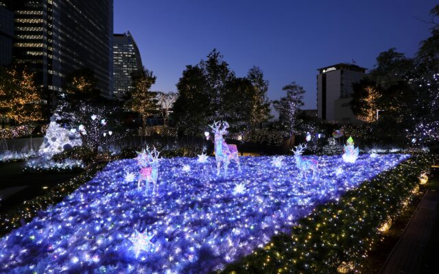 地上約30mの空中庭園に10万球の光が輝く！大名古屋クリスマスイルミネーション開催中