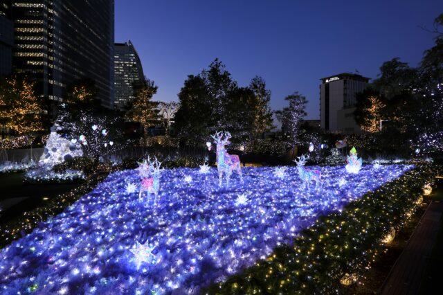 地上約30mの空中庭園に10万球の光が輝く！大名古屋クリスマス