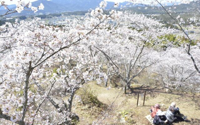 岐阜・中津川で春のお花見ドライブ！歴史や絶景、グルメを堪能しながら桜の名所をまわろう