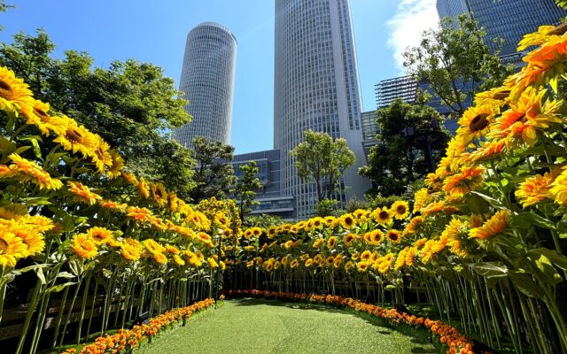 都会の空に咲く今夏の映え確スポット！約6500本のひまわりと大名古屋の絶景庭園へ