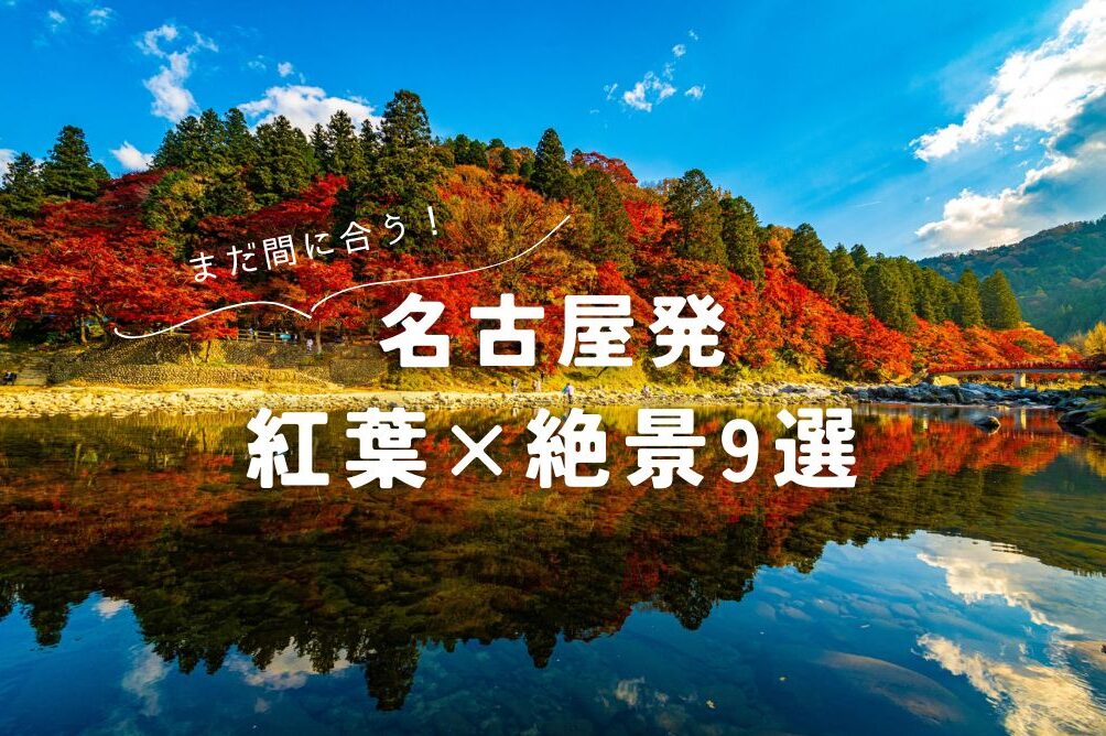 累計販売数175万本超！冬季限定の大人気バームクーヘンが1週間限定で名古屋駅に〜12/2