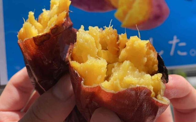 33万人動員の芋フェスが三河安城駅前へ！ほっこり甘い人気店が大集合12/13・14