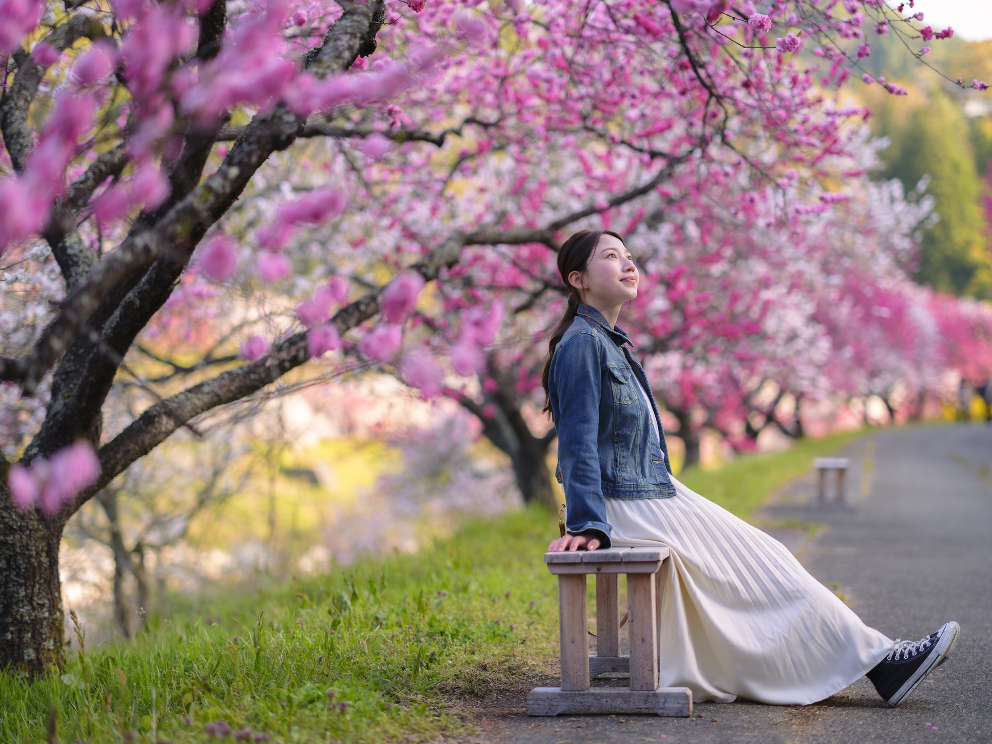 まるで異世界な阿智村の花桃まつり！赤白ピンク1万本が咲き誇るGWの