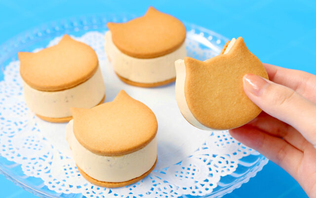 ねこねこ夏限定スイーツ5選！テーマは喫茶店に集うねこ!?初登場の限定フレーバーも6/1〜