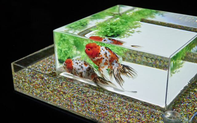 2年連続で名古屋開催決定！幻想的な「アートアクアリウム展」で夏の涼を満喫7/24〜