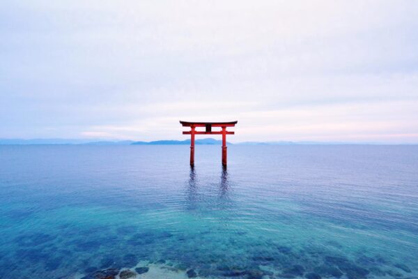 名古屋から行く、絶景を拝む美しい神社仏閣 14選！2024年初詣におすすめ