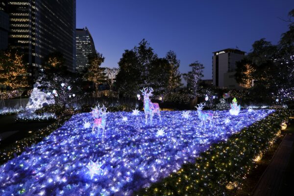 地上約30mの空中庭園に10万球の光が輝く！大名古屋クリスマスイルミネーション開催中